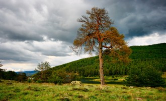 İzcilerin mabedi; ÇAMKORU TABİAT PARKI