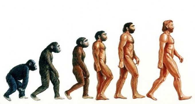 İnsanın Evrimi