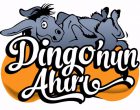 Dingonun “Dijital” Ahırı!