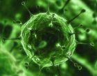 Virüsler dünya dışı varlıklar mı?