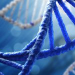 DNA NEDİR NE DEĞİLDİR?