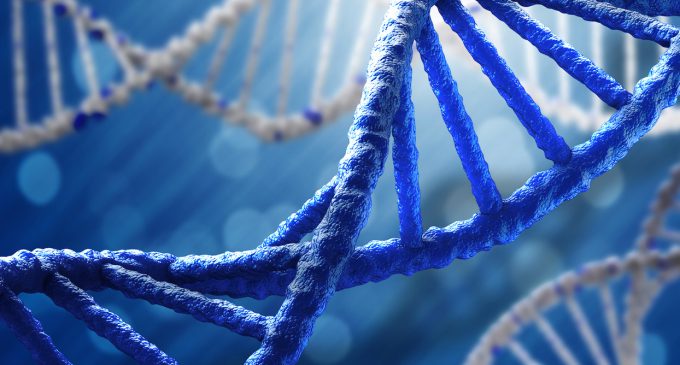 DNA NEDİR NE DEĞİLDİR?