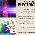Elektrikli Yiyecekler