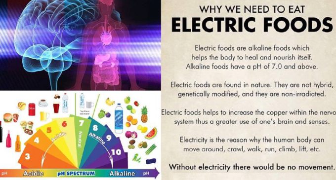 Elektrikli Yiyecekler