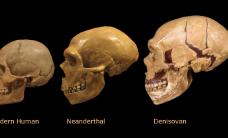 Evrimde gizemli halka: Denisova insanları