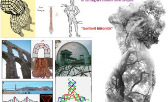 Dünyanın organize olma biçimi ; Tensegrity