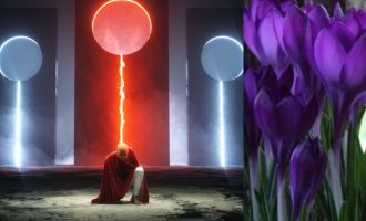 Tam ve Bütün Oluş