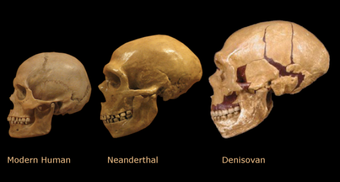 Evrimde gizemli halka: Denisova insanları