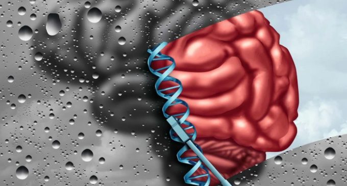 Beyniniz DNA’nızı değiştirebilir mi?